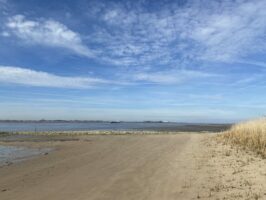 IMG_5812 IMG_5812